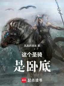 This Paladin is an Undercover Agent