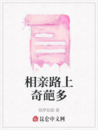 相亲路上奇葩多在线阅读