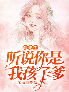 陆先生,听说你是我孩子爹在线阅读