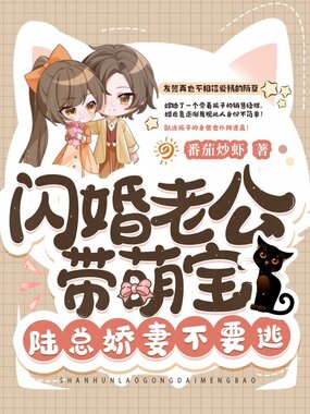 闪婚老公带萌宝，陆总娇妻不要逃在线阅读