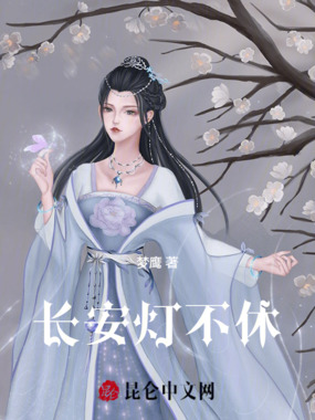 长安灯不休在线阅读