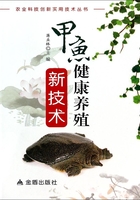 甲鱼健康养殖新技术