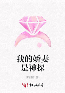 我的嬌妻是神探