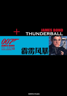 霹靂風(fēng)暴