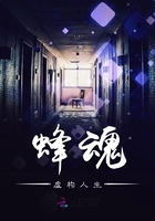 蜂魂:虚构人生在线阅读
