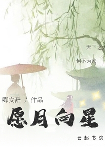 愿月向星