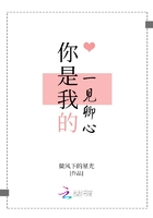你是我的一見卿心在線閱讀