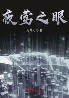 夜莺之眼在线阅读