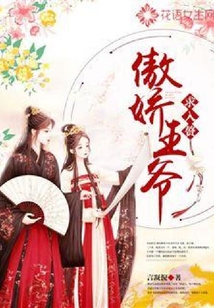 傲嬌王爺求入贅
