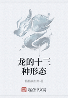 龙的十三种形态在线阅读