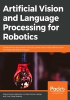 Artificial Vision and Language Processing for Robotics在线阅读