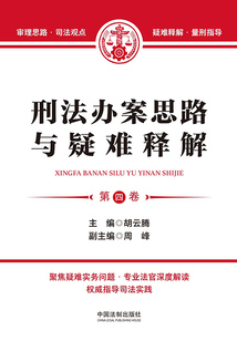 刑法辦案思路與疑難釋解(第四卷)