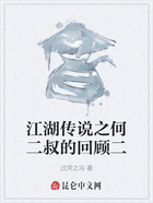 江湖传说之何二叔的回顾二在线阅读