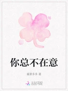 你总不在意在线阅读