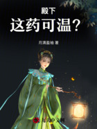 殿下,这药可温?在线阅读