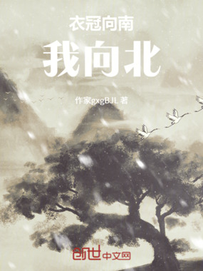 衣冠向南，我向北在线阅读