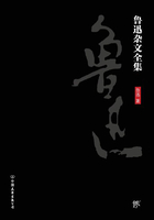 鲁迅杂文全集（全二册）最新版