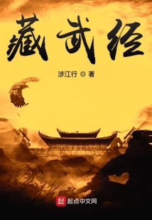 藏武经