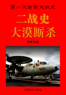 二戰史·大漠廝殺（第二次世界大戰史）