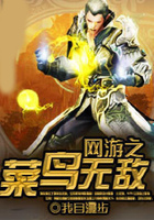網(wǎng)游之菜鳥無敵在線閱讀