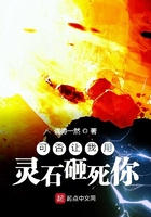 可否讓我用靈石砸死你在線閱讀