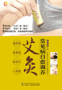 常見病自愈調(diào)養(yǎng)艾灸