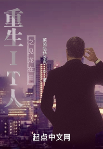 重生IT人之見龍在田