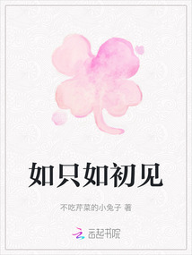 如只如初見