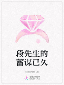 段先生的蓄謀已久
