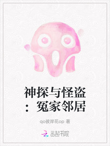 神探與怪盜：冤家鄰居