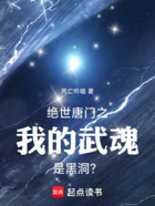 绝世唐门之我的武魂是黑洞?在线阅读