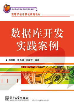 数据库开发实践案例 封面