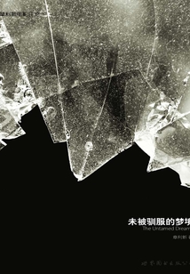 未被馴服的夢境