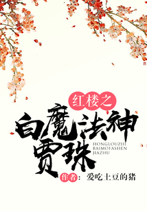 紅樓之白魔法神賈珠