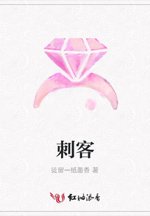刺客