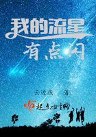 我的流星有點(diǎn)閃在線閱讀