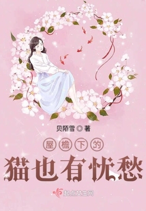 屋檐下的貓也有憂愁