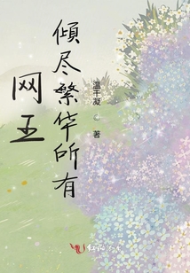 網(wǎng)王傾盡繁華所有