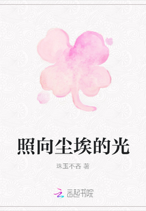 照向塵埃的光