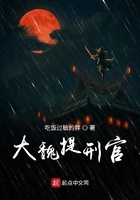 大魏提刑官在線閱讀