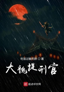 大魏提刑官
