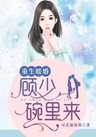 重生暖婚:顾少,碗里来在线阅读