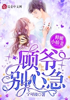鲜嫩小娇妻:顾爷,别心急!