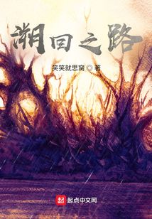 溯回之路