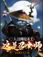 一人:这哪是术士,这是召唤师!在线阅读