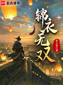 锦衣无双（林宣）在线阅读