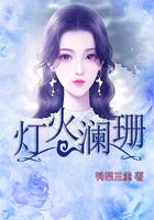 灯火澜珊在线阅读