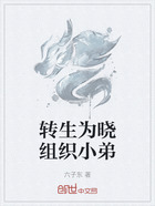 转生为晓组织小弟在线阅读