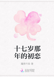 十七歲那年的初戀