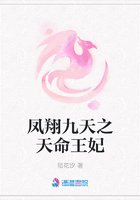凤翔九天之天命王妃在线阅读
